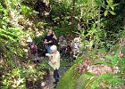 IMG 0429A  Trekking trail langs kysten i Bako National Park Borneo