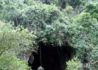 IMG 0533A  Indgangen til Gomantong Caves i Sabah provinsen Borneo