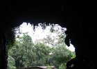 IMG 0540A  Fra Gomantong Caves mod indgangen i Sabah provinsen Borneo