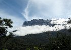 IMG 0621A  Mount Kinabalu Borneo